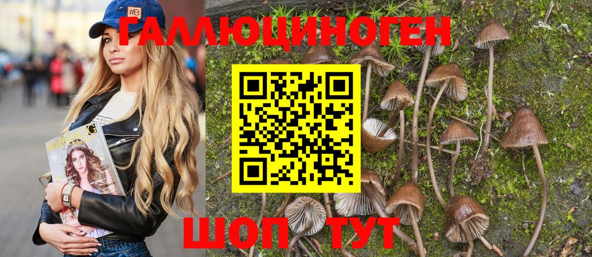 Псилоцибиновые грибы Psilocybine cubensis Рязань